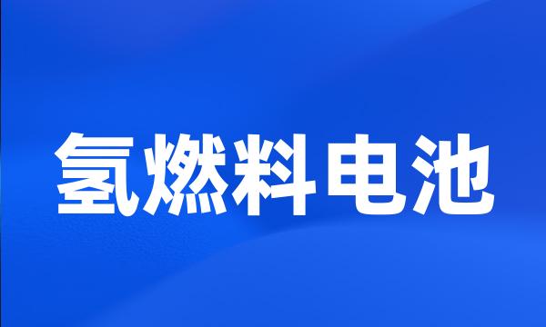 氢燃料电池