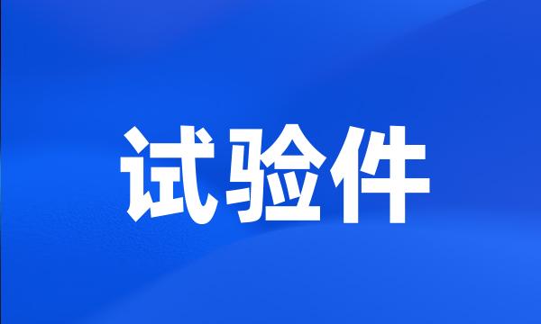 试验件