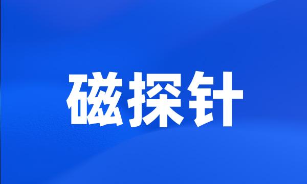 磁探针