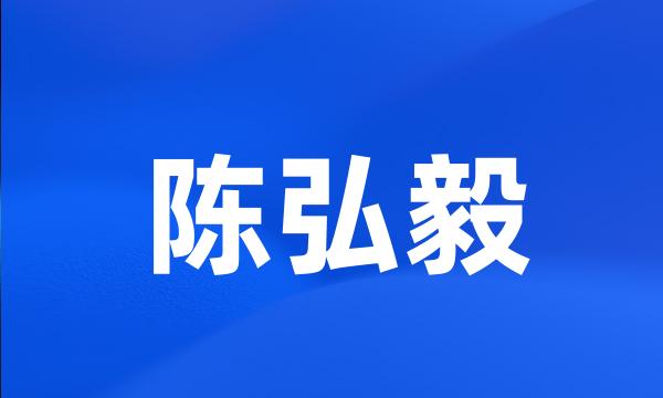 陈弘毅