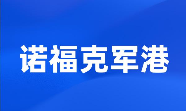 诺福克军港