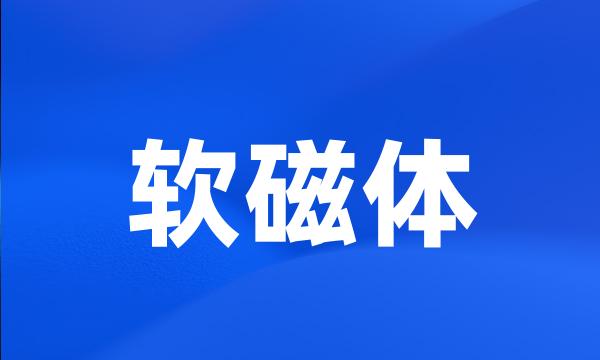 软磁体