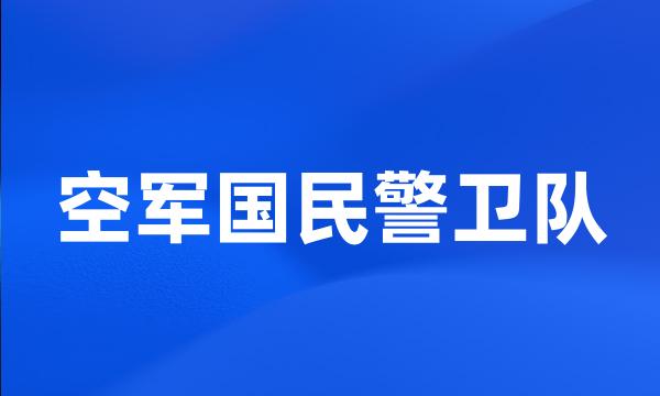 空军国民警卫队