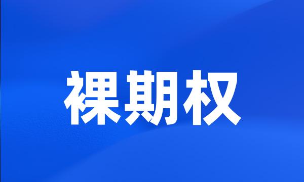 裸期权