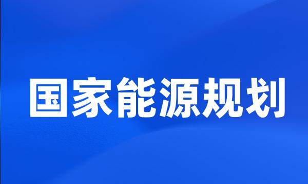 国家能源规划