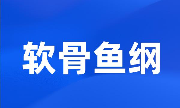 软骨鱼纲