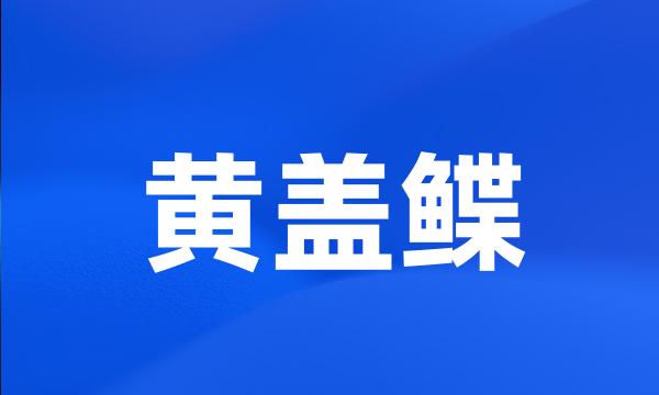 黄盖鲽