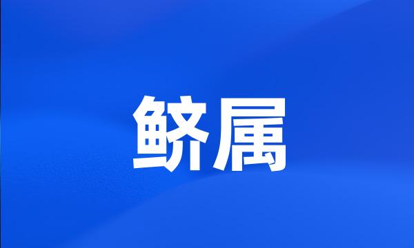 鲚属