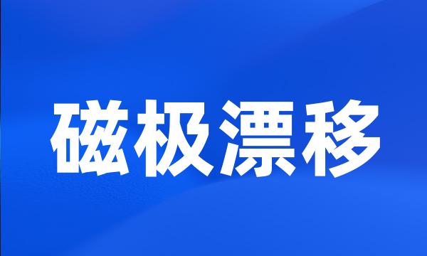 磁极漂移