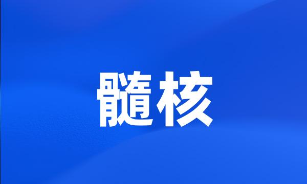 髓核