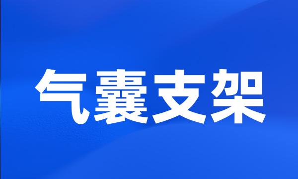 气囊支架