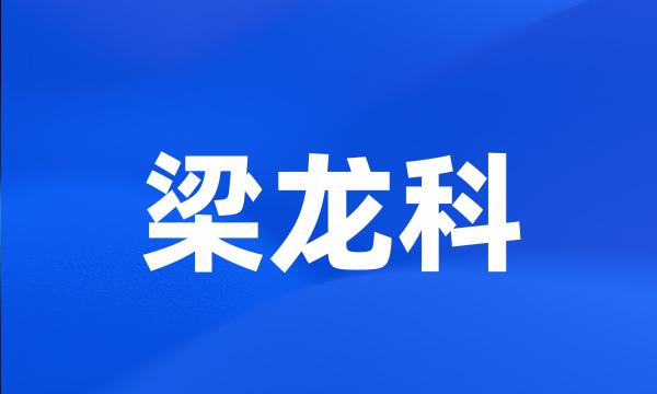 梁龙科