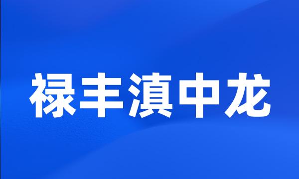 禄丰滇中龙