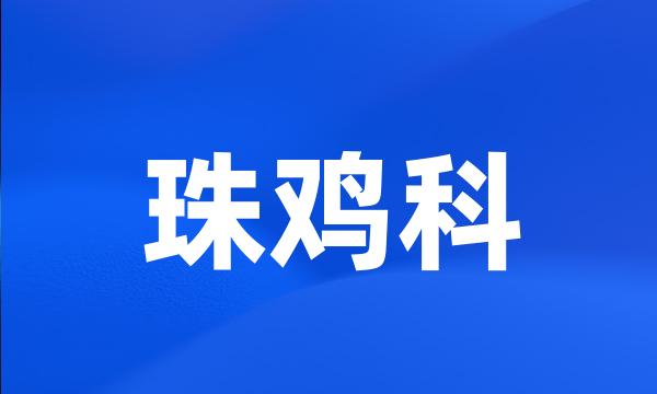 珠鸡科