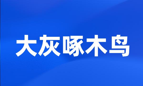 大灰啄木鸟