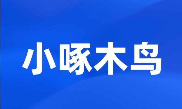 小啄木鸟