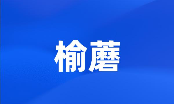 榆蘑