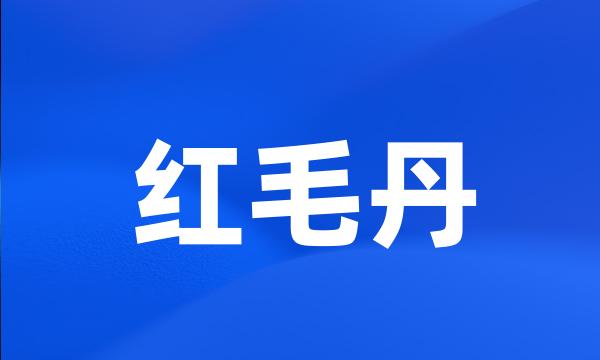 红毛丹