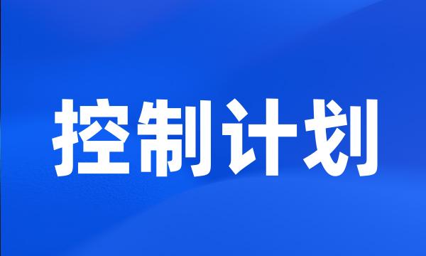 控制计划