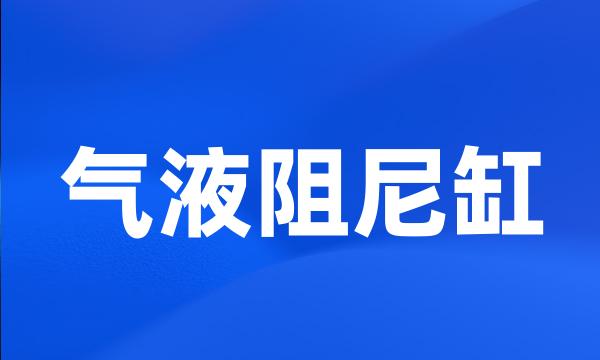 气液阻尼缸