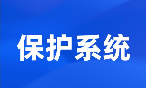 保护系统