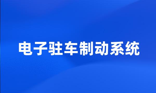 电子驻车制动系统