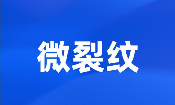 微裂纹