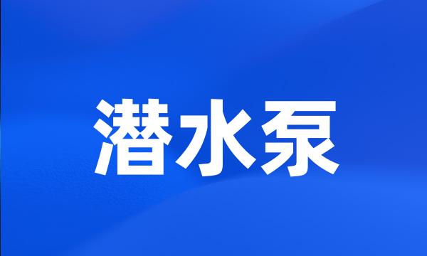 潜水泵