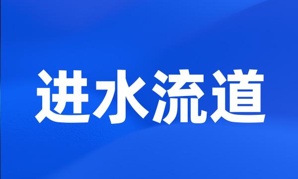 进水流道