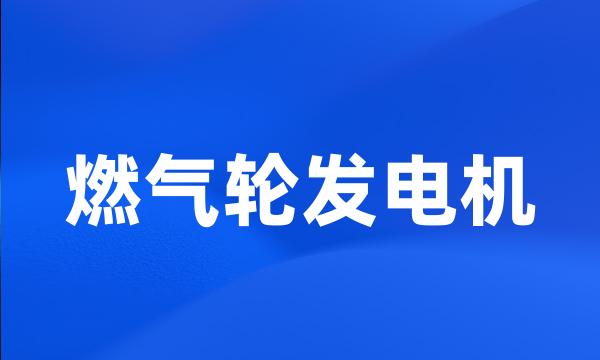 燃气轮发电机