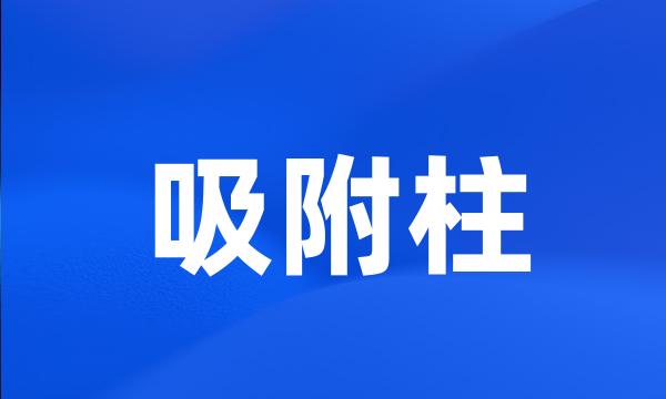 吸附柱