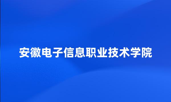 安徽电子信息职业技术学院