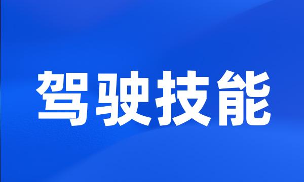 驾驶技能