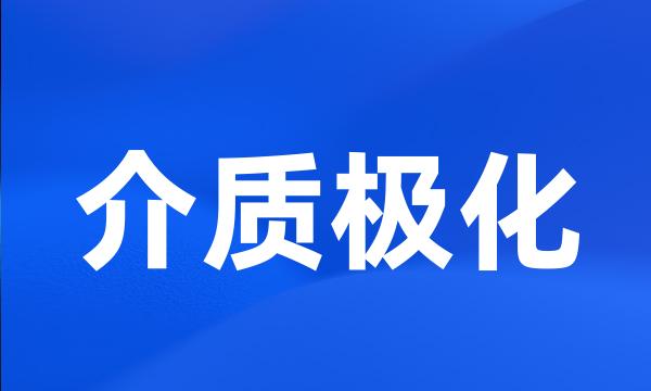 介质极化