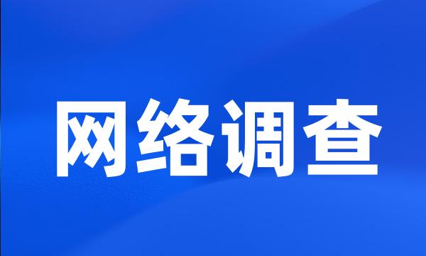 网络调查