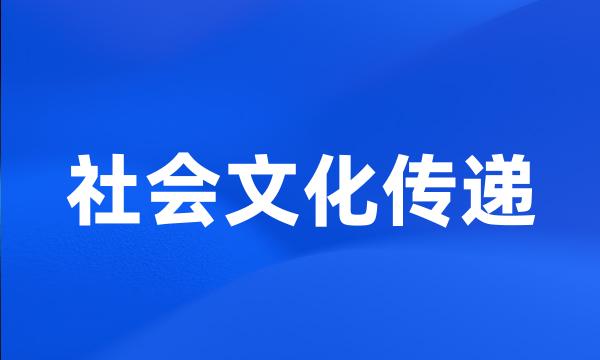 社会文化传递