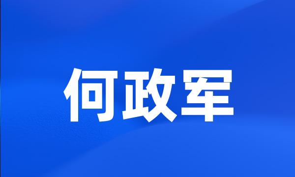 何政军