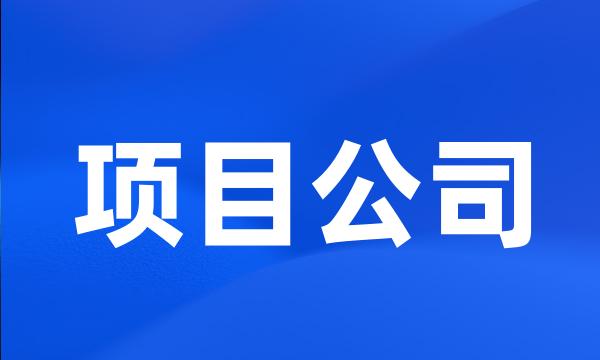 项目公司