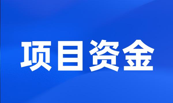 项目资金