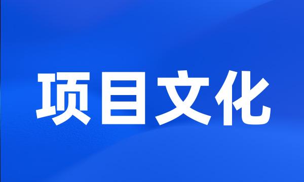 项目文化