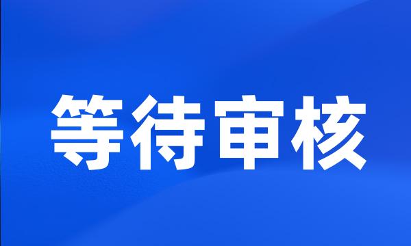 等待审核