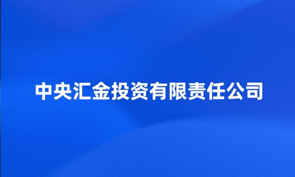 中央汇金投资有限责任公司