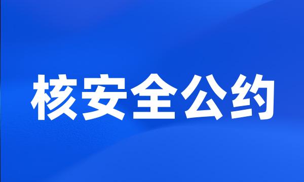 核安全公约