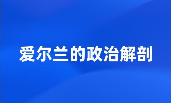 爱尔兰的政治解剖