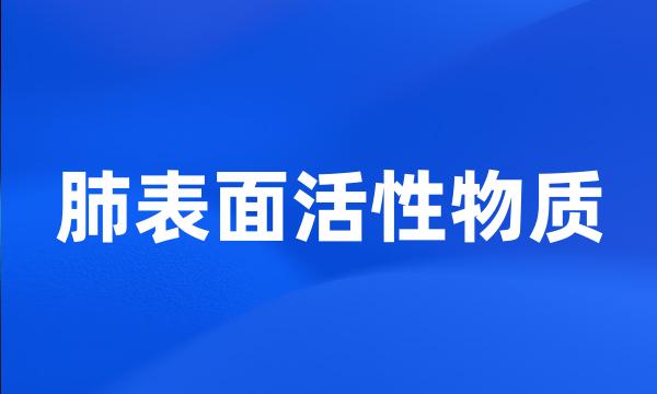 肺表面活性物质