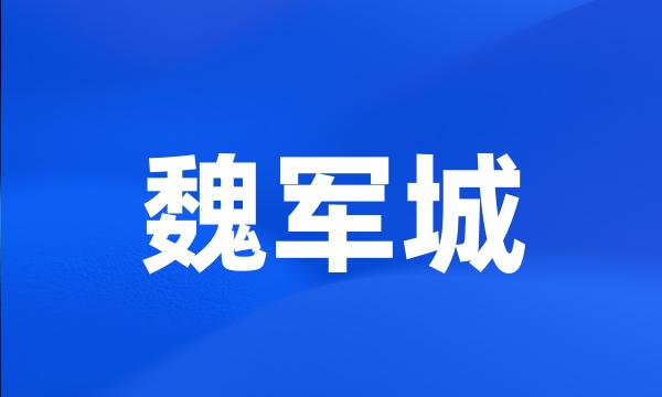 魏军城