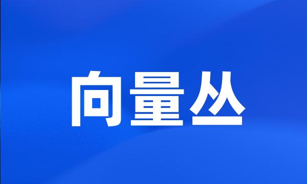 向量丛