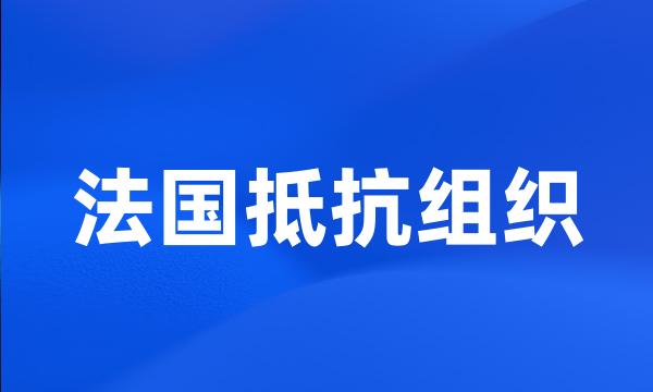 法国抵抗组织