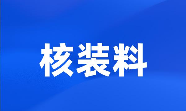 核装料