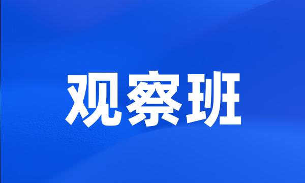 观察班